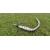 PLATEK RACING - Racing 80 - 90 ccm AM6